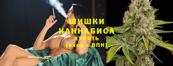 ГАЛЛЮЦИНОГЕННЫЕ ГРИБЫ Горно-Алтайск