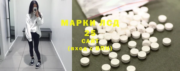 ГАЛЛЮЦИНОГЕННЫЕ ГРИБЫ Горно-Алтайск