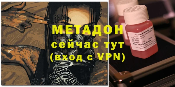 ГАЛЛЮЦИНОГЕННЫЕ ГРИБЫ Горно-Алтайск