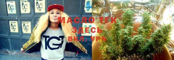 ГАЛЛЮЦИНОГЕННЫЕ ГРИБЫ Горно-Алтайск