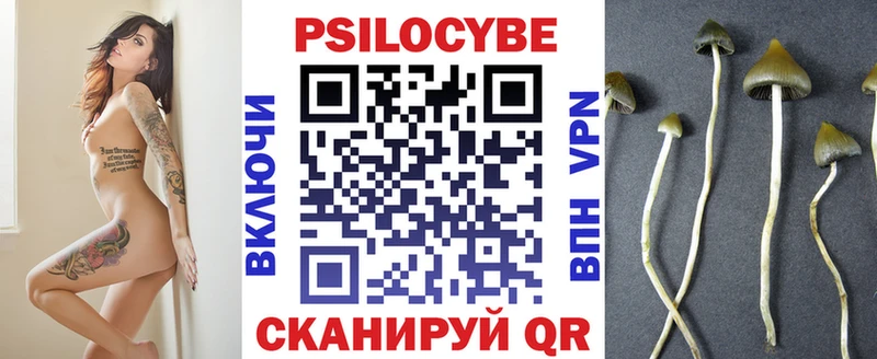 где купить наркоту  Муром  Псилоцибиновые грибы Psilocybine cubensis 