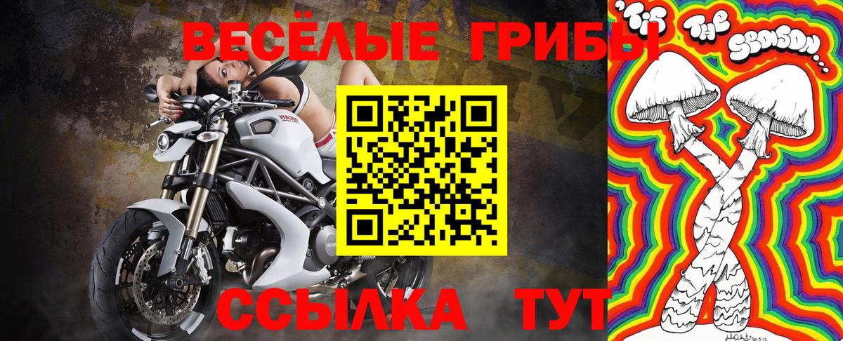 Муром  хочу наркоту  Вход с VPN  Псилоцибиновые грибы Magic Shrooms  Галлюциногенные грибы MAGIC MUSHROOMS 