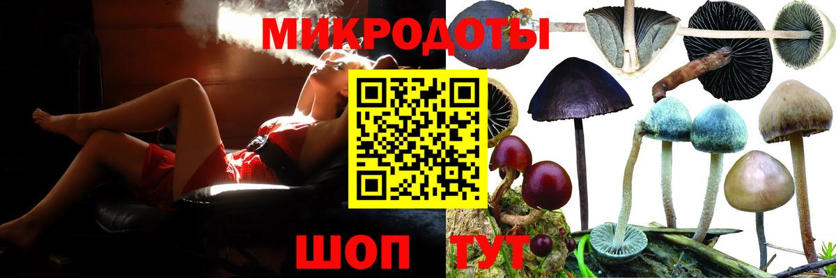 Галлюциногенные грибы Psilocybine cubensis Муром