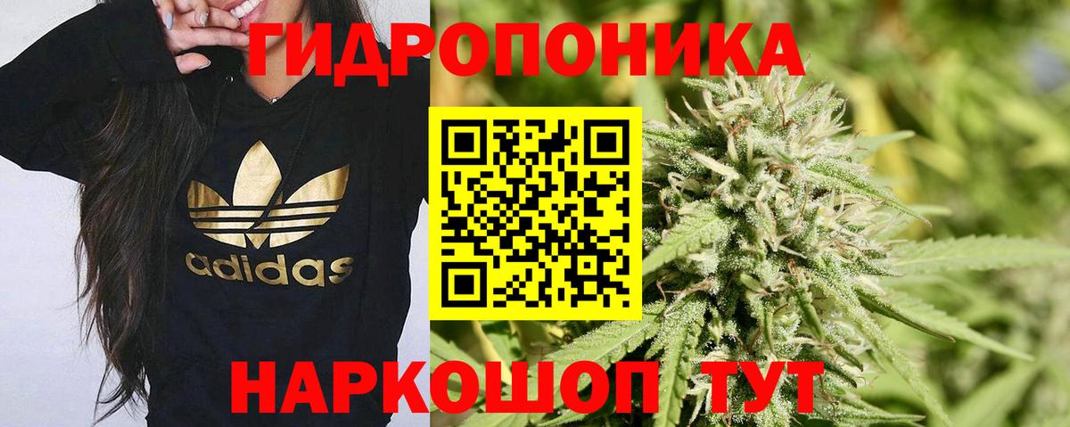 Гашиш Муром